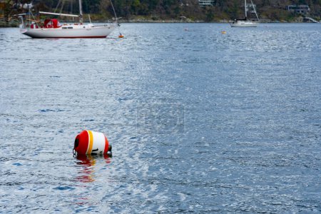 Téléchargez les photos : Image d'une seule bouée d'avertissement rouge et blanche flottant dans l'eau près du rivage. - en image libre de droit