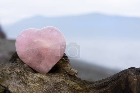 A peaceful image of a large rose quartz crystal heart on a rough piece of brown driftwood and ocean background. 