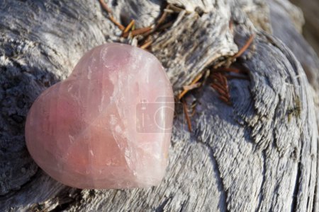 Photo for A top view image of a beautiful rose quartz crystal heart resting on a weathered piece of driftwood. - Royalty Free Image
