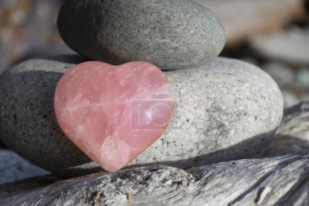 Photo for A close up image of a large rose quartz crystal heart resting one smooth grey stones. - Royalty Free Image