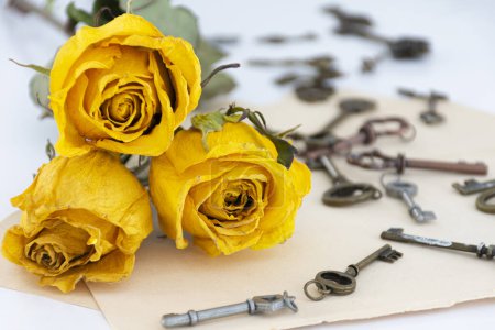 Nahaufnahme von drei getrockneten gelben Rosen mit alten Vintage-Metallschlüsseln und Schreibpapier. 