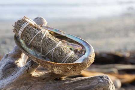 Photo for A mystical image of a white sage smudge stick in an abalone shell with the rocky coast line in the background. - Royalty Free Image