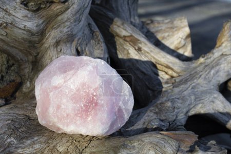 A close up image of a large piece of rough rose quartz on an old weathered driftwood log. 