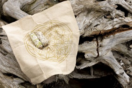 An image of a sacred geometry grid cloth draped over weathered driftwood. 