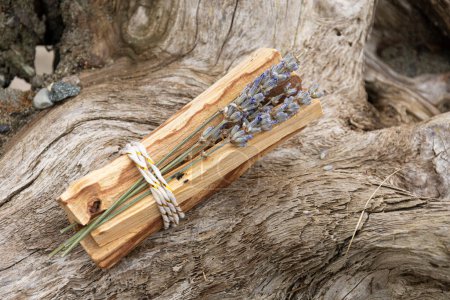 A close up image of several incense sticks tied in a bundle with dried lavender flowers.