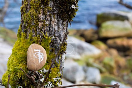 An image of a healing spiritual symbol painted on a stone and placed on a moss covered tree branch with ocean background. 