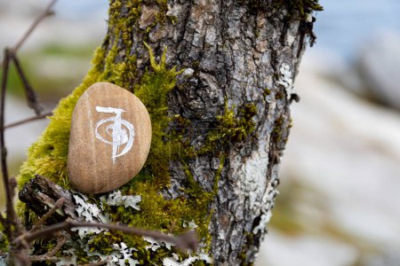 Symboles de guérison spirituelle peints sur une pierre beige et placés sur un arbre couvert de mousse. 