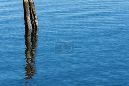 An image of the rippled reflection of old wooden dock pilings left behind to rot in the ocean water. 