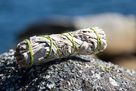 Una imagen de un palo de salvia blanca mancha con hilo verde brillante descansando sobre una roca cubierta de liquen. 