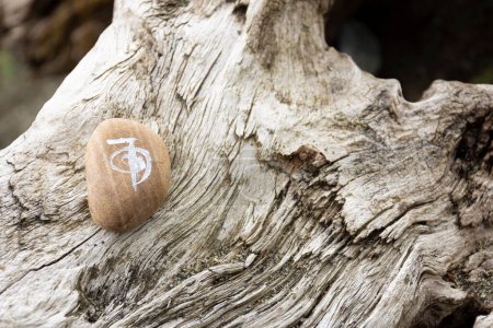 Das Bild eines Energiesparsymbols, das auf einen beigen Felsen gemalt und auf einen natürlichen Treibholzstamm gesetzt wurde. 