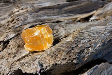 Bild eines unpolierten orangen Kalzitkristalls auf einem alten verwitterten Treibholzstamm. 