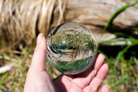 Das Bild einer Hand, die einen fotografischen Linsenball hält, der das Bild eines Treibholzstammes und alten getrockneten Grases widerspiegelt. 