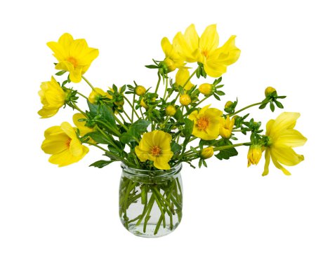 Foto de Primer plano de un arreglo floral de dalia aislado en un jarrón de vidrio - Imagen libre de derechos