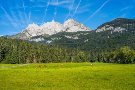 Foto de Paisaje con las montañas del Káiser en los Alpes de Austria - Imagen libre de derechos