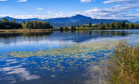 Der idyllische Sulzberger See in den Allgäuer Alpen (Bayern))