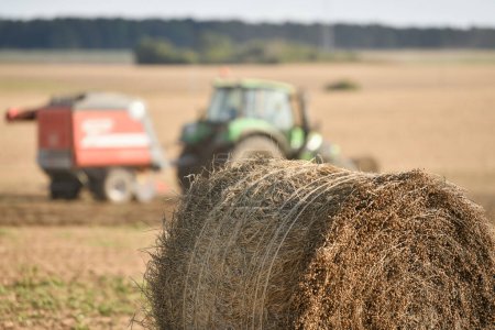Foto de Tractor cleans the field with flax and makes bales - Imagen libre de derechos