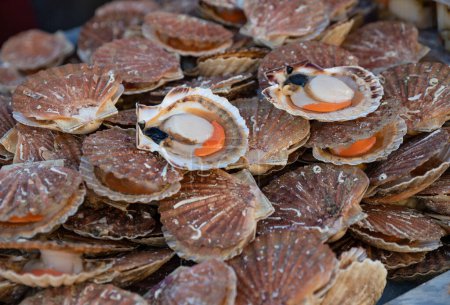 Foto de Vieiras francesas frescas en un mercado de mariscos en Dieppe Francia - Imagen libre de derechos