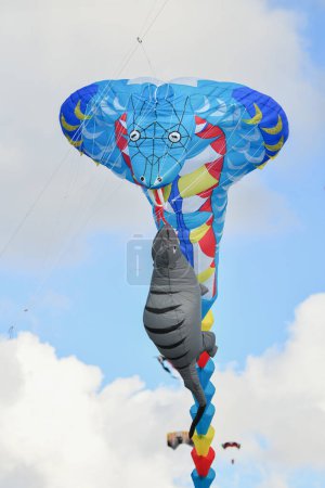 Photo for Kite festival. Kite cobra in the sky at the beach of Atlantic ocean - Royalty Free Image