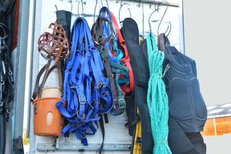 Photo for Horse riding equipment for sale. halter equipment - Royalty Free Image