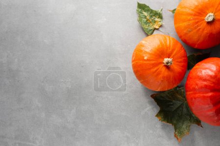 Foto de Vista superior de tres calabazas sobre fondo gris. Concepto de comida de otoño, fondo de otoño, espacio para copiar - Imagen libre de derechos