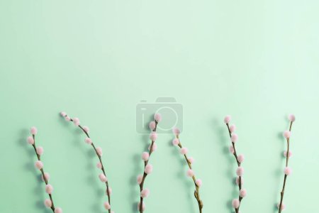 Foto de Top view of easter composition with a spring branches of pussy willow on a green background, copy space - Imagen libre de derechos