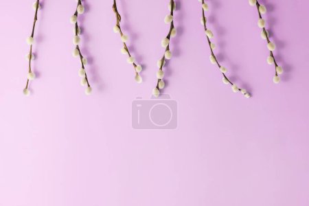 Foto de Top view of easter composition with a spring branches of pussy willow on a purple background, copy space - Imagen libre de derechos