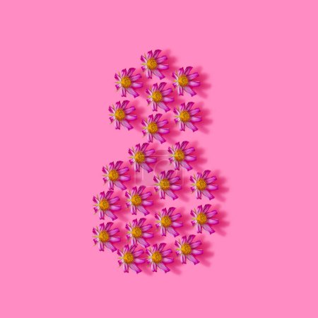 Foto de Concepto creativo de primavera. Flores rosadas sobre fondo rosa. Fondo de color creativo, vista superior, espacio de copia - Imagen libre de derechos