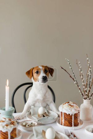 Foto de ¡Feliz Pascua! Lindo perro Jack Russell Terrier sentado en la mesa de Pascua servida en el interior. Decoración de mesa de Pascua con huevos, pastel de Pascua y ramas de sauce en jarrón - Imagen libre de derechos