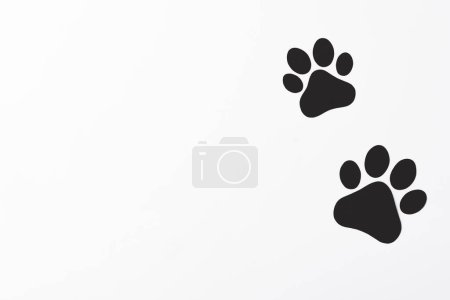 Téléchargez les photos : Pattes de chien sur fond blanc, motif pattes de chien. National Puppy Day concept créatif, vue de dessus - en image libre de droit