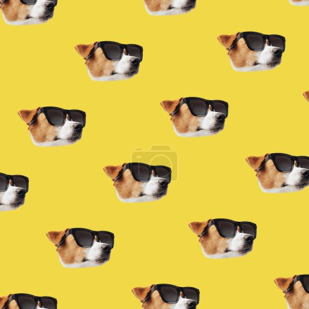 Téléchargez les photos : Ensemble de chien Jack Russell Terrier mignon avec des lunettes de soleil. Modèle drôle de tête de collection de chiot heureux, isolé sur fond coloré pour imprimer - en image libre de droit