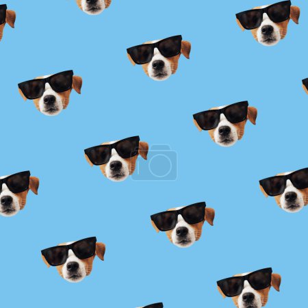 Photo for Set of cute Jack Russell Terrier dog with sunglasses. Funny collection head pattern of happy puppy, isolated on colorful background for print - Royalty Free Image