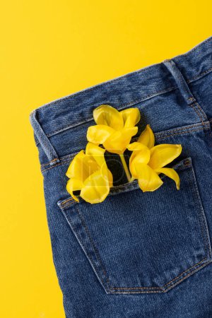 Téléchargez les photos : Concept de printemps créatif réalisé avec des fleurs de tulipes dans la poche arrière de jeans bleus isolés sur fond jaune. Vue de dessus, gros plan, espace de copie - en image libre de droit