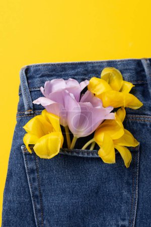 Téléchargez les photos : Concept de printemps créatif réalisé avec des fleurs de tulipes dans la poche arrière de jeans bleus isolés sur fond jaune. Vue de dessus, gros plan, espace de copie - en image libre de droit