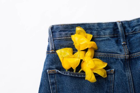 Téléchargez les photos : Concept de printemps créatif réalisé avec des fleurs de tulipe dans la poche arrière de jeans bleus isolés sur fond blanc. Vue de dessus, gros plan, espace de copie - en image libre de droit