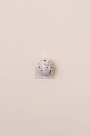 Foto de Un huevo de Pascua beige moteado que proyecta una sombra sobre un fondo beige. Concepto de minimalismo, espacio de copia, vista superior - Imagen libre de derechos