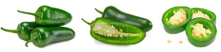 Jalapeno chili peppers isolated on white background Capsicum annuum fruits. clipping path