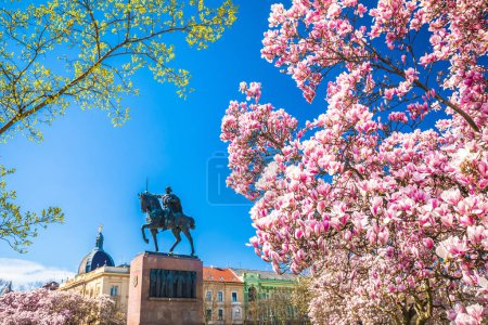 King Tomislav square in Zagreb springtime magnolia blossom tree view, capital of Croatia