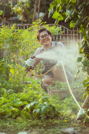 Téléchargez les photos : Asiatique femme arrosage organique légumes à la maison jardin - en image libre de droit