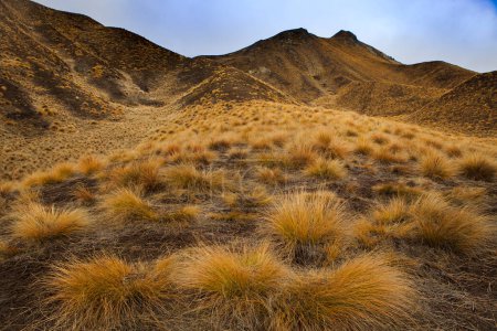 Téléchargez les photos : Beau paysage de lindis passe otago - région de Canterburry sud de la Nouvelle-Zélande - en image libre de droit