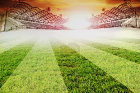 Photo for Green lawn of soccer sport stadium against beautiful sunset sky - Royalty Free Image