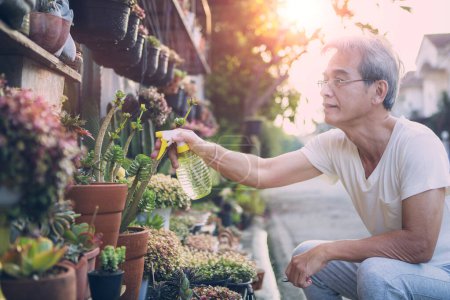 Téléchargez les photos : Asiatique senior homme pulvérisation d'eau pour succulente plante à la maison jardin - en image libre de droit