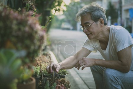 Téléchargez les photos : Asiatique vieil homme prendre soin plante d'intérieur à la maison jardin - en image libre de droit
