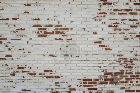 Téléchargez les photos : Vieille peinture blanche sur mur de briques rouges utilisation comme fond de salon - en image libre de droit