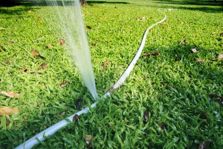 Téléchargez les photos : L'eau qui coule du tube en caoutchouc cassé sur le champ d'herbe - en image libre de droit