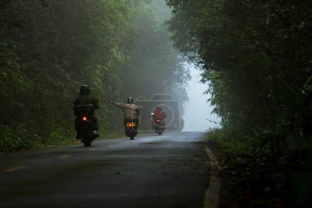 Téléchargez les photos : Groupe de cycliste chevauchant sur la route de montagne brumeuse au parc national de Khaoyai l'une des destinations les plus populaires de voyage en Thaïlande - en image libre de droit