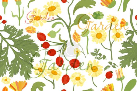 Illustration for Seamless pattern with colored garden flowers. Colorful flower parts are isolated on the white background. Hand-drawn parts of the marigold, calendula, chamomile, rose fruits, and words above. - Royalty Free Image