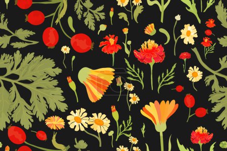 Illustration for Seamless pattern with vibrant garden flowers. Multicolored flower parts are isolated on the black background. Hand-drawn parts of the marigold, calendula, chamomile, and rose fruits. - Royalty Free Image