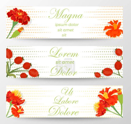 Illustration for Web Banners with sample text and flowers and fruits. White background decorated with horizontal dashed lines. Marigold flowers and Dog rose fruits. Vintage-style banners for summer campaigns. - Royalty Free Image