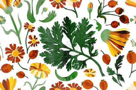 Illustration for A seamless pattern with vibrant textured flowers is isolated on the white background. Hand-drawn parts of the marigold, calendula, chamomile, and rose fruits. - Royalty Free Image