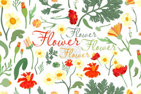 Illustration for The seamless pattern with colorful flower parts is isolated on the white background. Hand-drawn parts of the marigold, calendula, chamomile, rose fruits, and words in the center. - Royalty Free Image